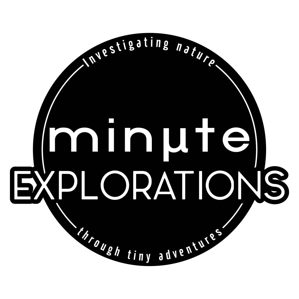 Minute Explorations logo and tagline