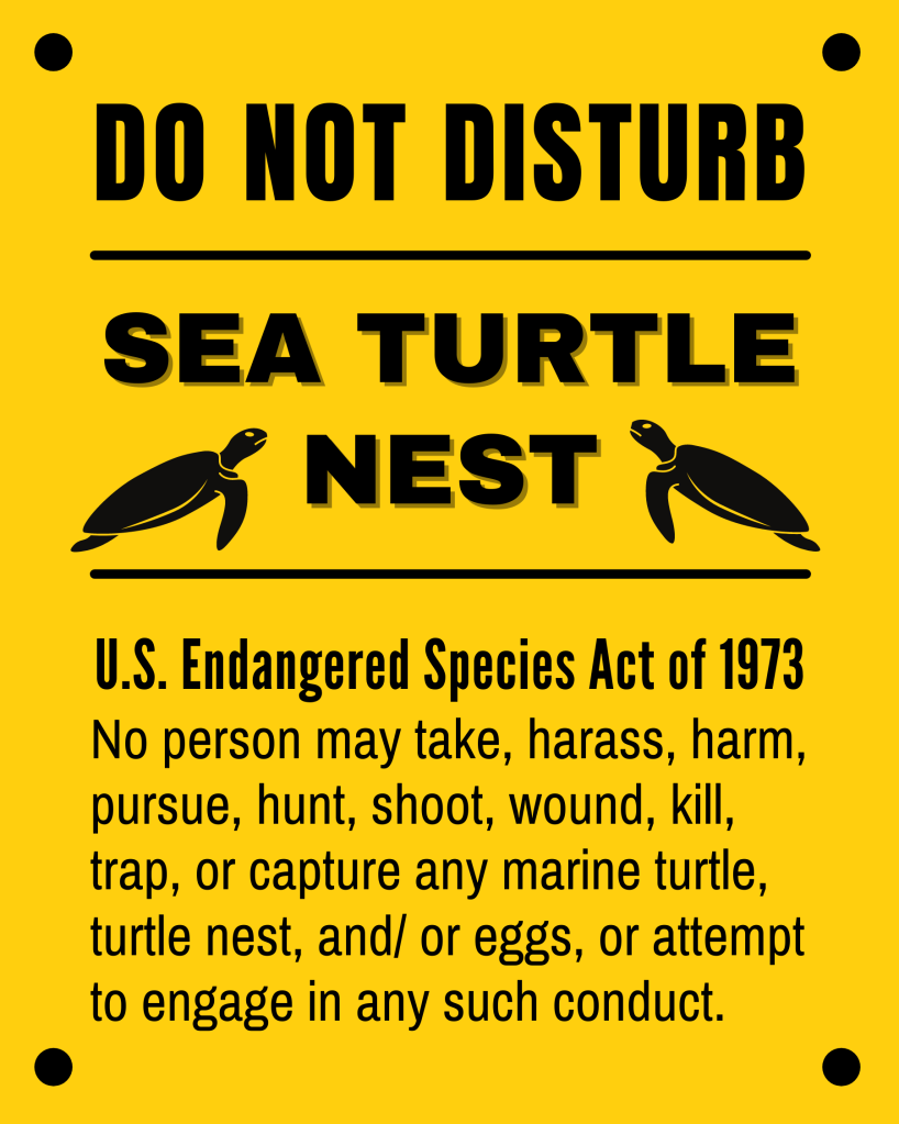 Do not disturb real sea turtle nests in the wild